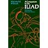 A Companion to The Iliad  (Phoenix Books)