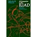 A Companion to The Iliad (Phoenix Books)