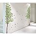 Cukudy DIY Large Wall Quote Decor Art Deusal Sticker Removable Green Tree Leaves Birds