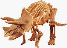 51HPB5ETWZL Educational Insights Dino Digs Set   Triceratops