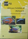 Aqualog African Cichlids III, Malawi II - Peacocks