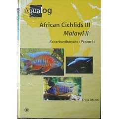 Aqualog African Cichlids III, Malawi II - Peacocks