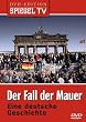 Spiegel TV - Der Fall der Mauer
