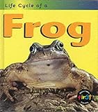 Life cycle of a frog