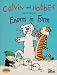 Calvin und Hobbes, Bd.9, Enorm in Form