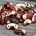 Jacobs Cattle Beans (12 ounce)