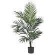 5' Kentia Palm Silk Tree