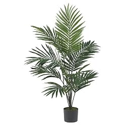 5' Kentia Palm Silk Tree