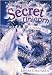 A Winter Wish (My Secret Unicorn)