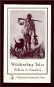 Wildfowling Tales: From the Great Ducking Resorts of the Continent