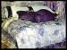 BRAND NEW JACQUARD QUEEN 7 PIECE STONE PURPLE FLOWER COMFORTER COMFORTERS BEDDING HOT NICE!!! Image