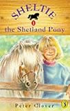 Sheltie the Shetland pony
