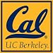 Turner California Golden Bears Paper Cube (8080232)
