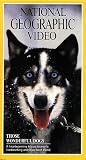  : National Geographic's Those Wonderful Dogs