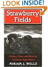 Strawberry Fields: Politics, Class, and Work in California Agriculture (Anthropology of Contemporary Issues)