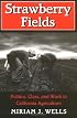 Strawberry Fields: Politics, Class, and Work in California Agriculture (Anthropology of Contemporary Issues)
