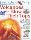 I Wonder Why Volcanoes Blow Their Tops and Other Questions About Natural Disasters (I Wonder Why) (I Wonder Why)