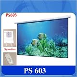 Motor Leinwand Dynasun PS603 HDTV 2.4 x 1.8 M Beamer