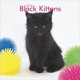 Black Kittens 2008 Mini Wall Calendar