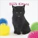 Black Kittens 2008 Mini Wall Calendar
