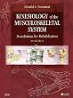 Kinesiology of the Musculoskeletal System: Foundations for Rehabilitation