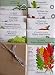 "The Adventuresome Gardener" 10 Unusual Seed Packets By Botanical Interests in Gift Box