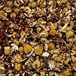 red chamomile tea blend