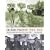 Home Front 1914-1918: How Britain Survived the Great War (Britain at War)