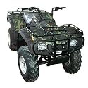 250cc 250 ATV Quad Four Wheeler 5speed+REVERSE