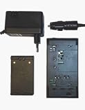 SONY DSRPD1 Battery