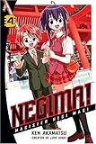 Negima!: Magister Negi Magi, Volume 4