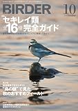 BIRDER 2012年 10月号 [雑誌]