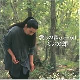 愛しの森a-mol
