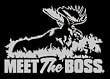 Meet the Boss Upstream Images Silver Vinyl Wildlife Car Truck Window Decal Sticker