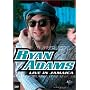 Music in High Places - Ryan Adams (Live in Jamaica)