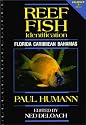 Reef Fish Identification: Florida, Caribbean, Bahamas