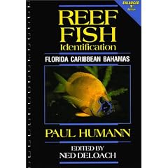 Reef Fish Identification: Florida, Caribbean, Bahamas