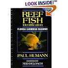 Click here to buy Reef Fish Identification: Florida, Caribbean, Bahamas by  Paul Humann and Ned Deloach.