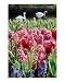 Keukenhof Animals Photographic Poster Print by Ashley Hamel, 8x10