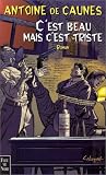 C'est beau mais c'est triste: Roman
