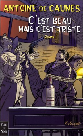 C'est beau mais c'est triste: Roman
