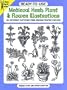 Ready-to-Use Medieval Herb, Plant and Flower Illustrations: 294 Different Copyright-Free Designs Printed One Side (Clip Art Series)