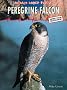 Peregrine Falcon  (Animals Under Threat)