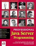 Professional JavaServer Programming