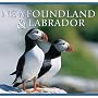 Newfoundland and Labrador (Canada Series)