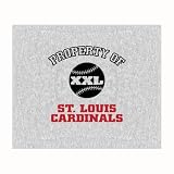 Biederlack Property of Cardinals Sweatshirt Throw