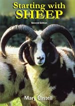 Starting With Sheep