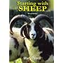 Starting with Sheep: A Beginner's Guide