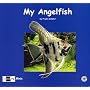 My Angelfish (Aqualog Minis)