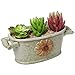 MyGift Country Rustic Green Ceramic Bucket Trough Style Flower Design Succulent Planter/Flower Pot